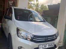 Suzuki Celerio 2015 Car