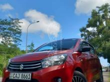 Suzuki Celerio 2015 Car