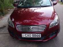 Suzuki Ciaz 2016 Car