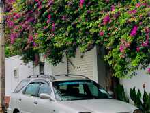 Suzuki Cultus Wagon 2001 Car