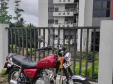 https://riyasewana.com/uploads/suzuki-gn125-20915321344321.jpg