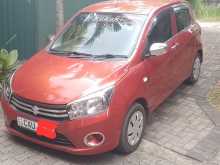 Suzuki Celerio 2017 Car