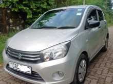 Suzuki Celerio 2016 Car