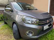 Suzuki Celerio ZXI 2016 Car