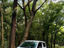 Suzuki Wagon R Stingray 2017 Car