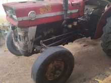 TAFE 135 1969 Tractor