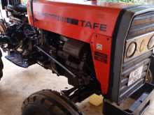 TAFE 45Di 2011 Tractor