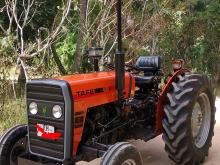 TAFE 45DI 2023 Tractor
