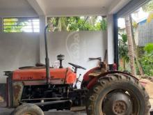 TAFE 45DI 1999 Tractor