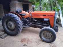 TAFE 45DI 2012 Tractor