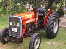 TAFE 45DI 2024 Tractor