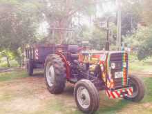 TAFE 45DI 2022 Tractor