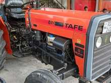 TAFE 45di 2019 Tractor