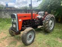TAFE 45DI 2003 Tractor