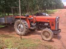 TAFE 45di 2016 Tractor
