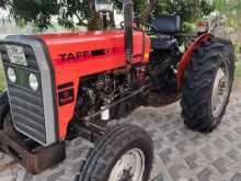 TAFE 45di 2021 Tractor
