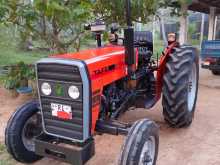 TAFE 45di 2024 Tractor