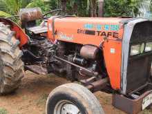 TAFE 45di 2004 Tractor