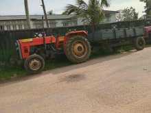 TAFE 45di 2019 Tractor