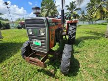 TAFE 45DI 2024 Tractor
