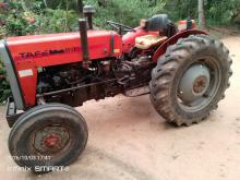TAFE 45DI 2009 Tractor