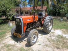 TAFE 45DI 2017 Tractor
