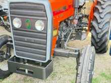 TAFE 45DI 2026 Tractor