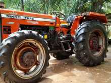 TAFE 5245 2021 Tractor