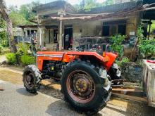 TAFE 5245 2021 Tractor