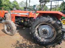 TAFE 5245 2020 Tractor