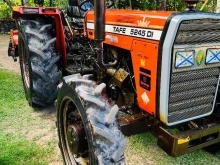 TAFE 5245 Tapa 4w 2021 Tractor