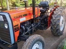 TAFE DI 45 2021 Tractor