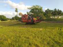 TAFE Sumo Wald Batta 2024 Tractor