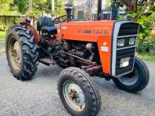 TAFE 45DI 2004 Tractor