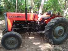 TAFE 45DI 2008 Tractor