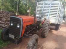 TAFE Tractor 2013 Tractor