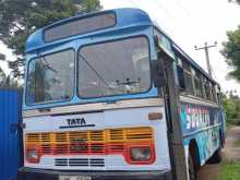 Tata  2003 Bus