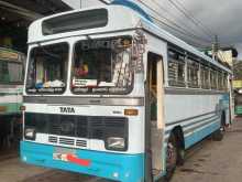 Tata 1515 2017 Bus