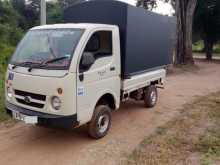 Tata Dimo Batta Ace 2011 Lorry