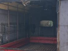 Tata Dimo Batta Ace 2011 Lorry