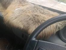 Tata Dimo Batta Ace 2008 Lorry