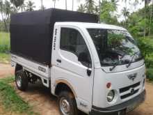 Tata Dimo Batta 2006 Lorry