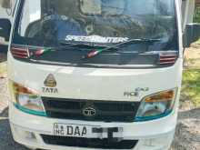 Tata Dimo Batta 2015 Lorry