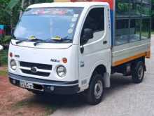 Tata Dimo Batta 2006 Lorry