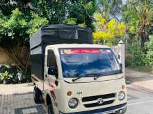 Tata Dimo Batta ACE 2011 Lorry