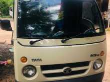 Tata Dimo Batta 2011 Lorry