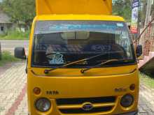 Tata Dimo Batta Ace 2011 Lorry