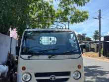Tata Dimo Batta ACE 2011 Lorry