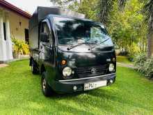 Tata Dimo Batta ACE 2012 Lorry