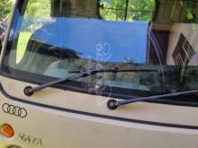 Tata Dimo Batta 2011 Lorry